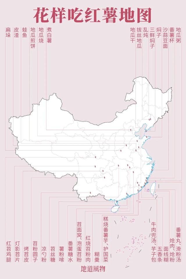 地瓜是什么，地瓜是什么科（中国最懂吃红薯的大省）