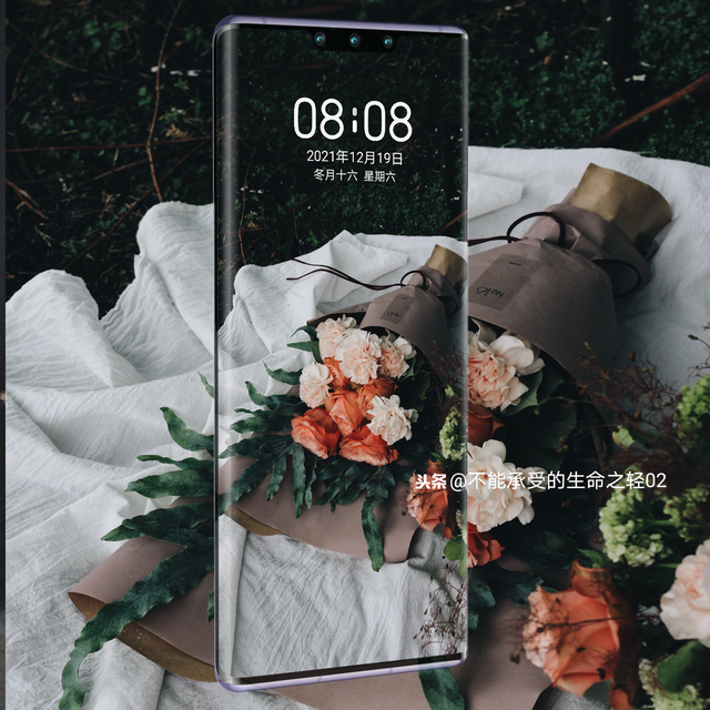 风景静物背景图|谢谢光临.，静物背景图片（花卉摄影壁纸图文解说）