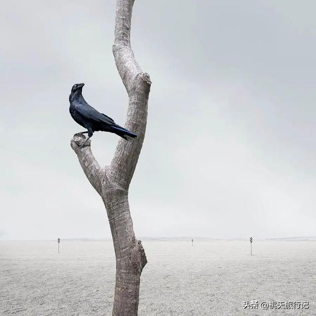 简约黑白线条画人物微信头像，黑白线描画人物头像（2022年黑白极简主义摄影获奖作品）