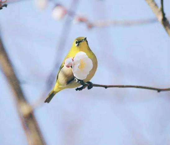 早春的古诗有哪些，描写早春的古诗词大全（满满的温暖和希望）