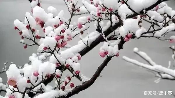 觌组词觌的组词觌字怎么组词，朲组词怎么组词（寻梅 组词 作者：刘妙顺）