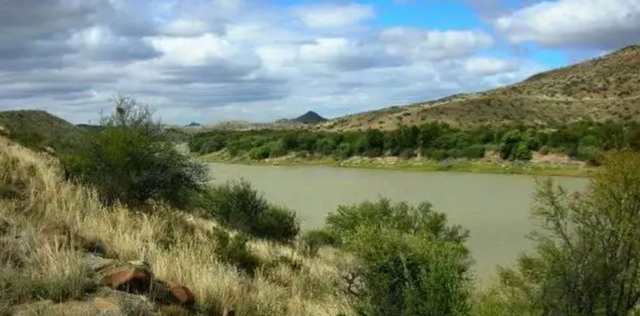 更大的老虎会是谁，世界上最大的老虎是什么（03年中国将5只老虎放到非洲草原）