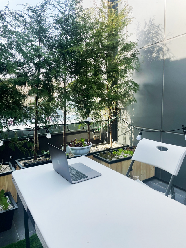 客厅不要沙发怎么设计，客厅不要沙发怎么设计好看（客厅抛弃了传统布局）