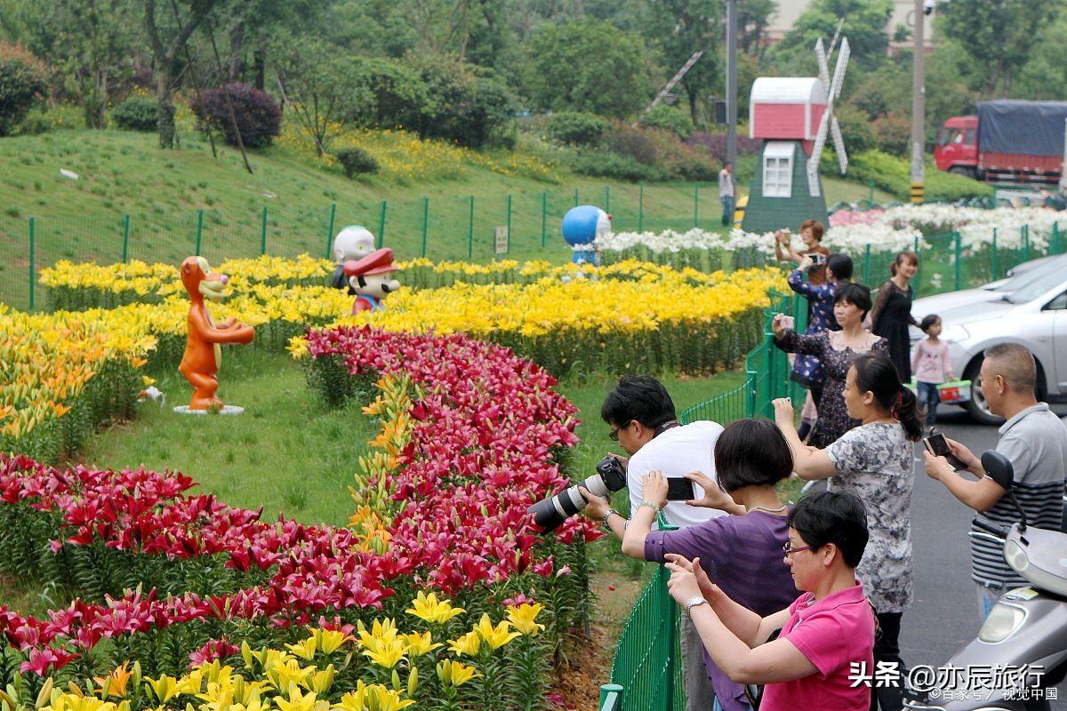 泉州鲜花港门票图片