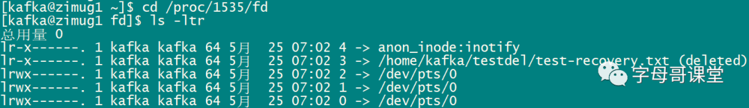 linux数据恢复实验_linux数据恢复命令
