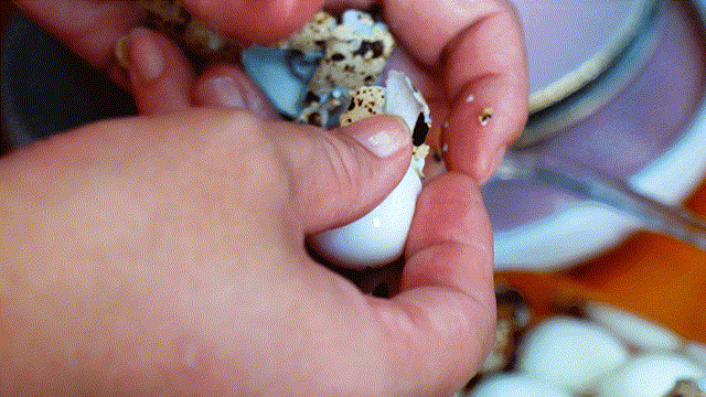 糟卤菜做法，糟卤菜谱大全（夏天的味道这样做）