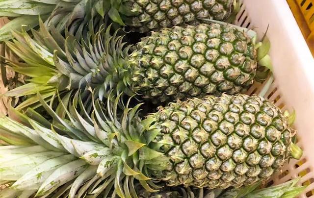 凤梨里面是籽还是虫，凤梨里面的是黑籽还是虫卵（现在还有多少人不知道菠萝和凤梨的关系）