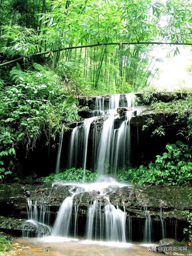 竹海生态旅游景区介绍，到绿水青山的蜀南竹海“走一遭”吧