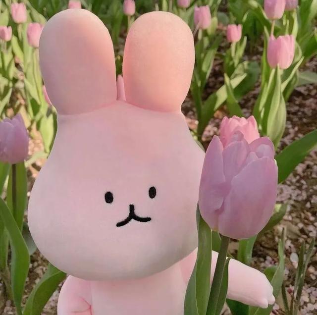 超甜的情侣头像，超级甜的情头微信（130张情侣、闺蜜头像）