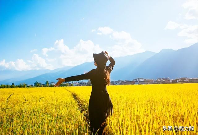 规则的名言名句，珍惜自由的名言（懂规矩、守规矩才能赢得人生）