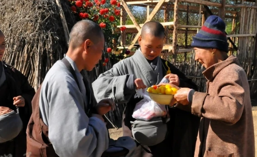 大悲寺与道源寺里,还有不少年纪不大就剃度出家的孩子,这些孩子接受过
