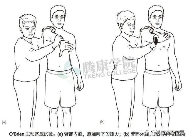 biceph，肩关节的特殊检查（bicep curl）