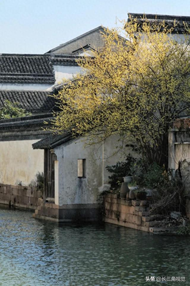 不是乌镇，不是南浔——在这座古镇，遇见一个浓浓年味的江南