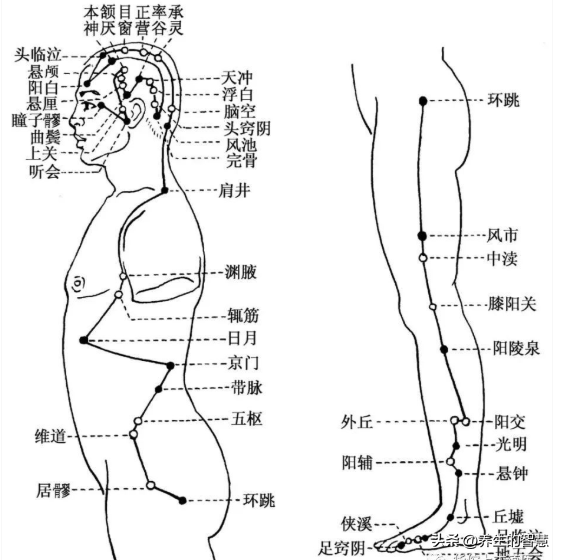 胆经的准确位置图，真人胆经穴位运行路线图（最完整的经络笔记）