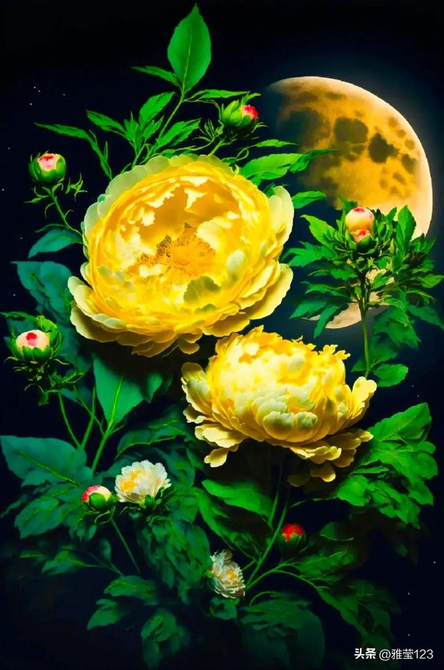 富贵吉祥的意思，富贵吉祥是什么寓意（富贵吉祥）