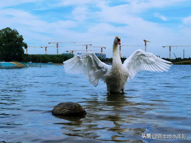 郑州龙湖湿地公园现状分析，河南郑州龙湖湿地公园秋色初露