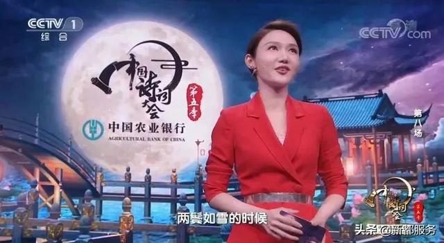 好看的综艺节目，最近有什么好看的综艺（8部央视力推综艺）