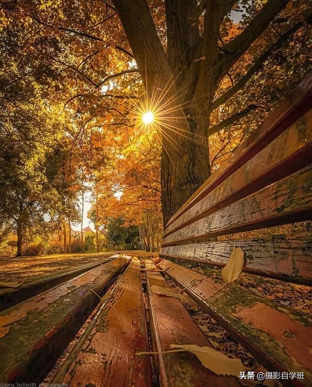 怎么拍照片好看，拍照怎么拍的好看（试试这9个教科书式摄影技巧）