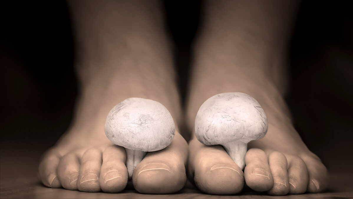 达克宁软膏多少钱一只(达克宁) - 价格百科