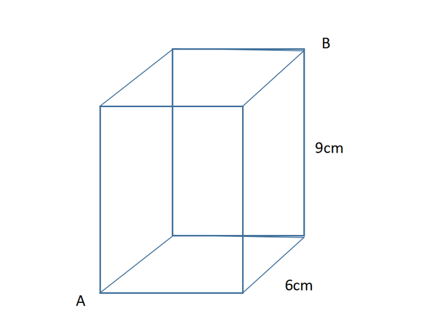 题目:如图,长方体高为9cm,底边是边长为6cm的正方形,一只美丽的蝴蝶从