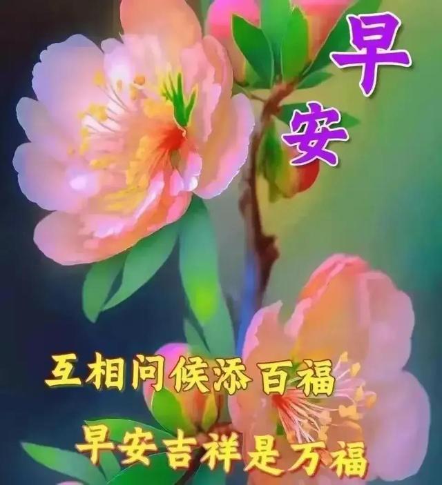 03年属什么生肖，03年属什么（2023年04月03日）