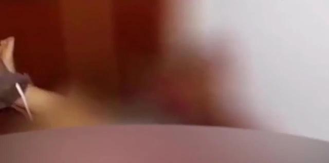 男子入室锤杀两名19岁女孩，湖南一男子为给自己举办生日宴会