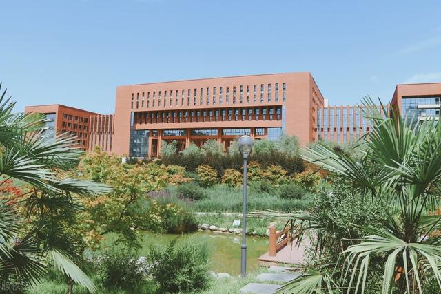 世界上最好的大学，世界大学前十名（实力被低估的5所大学）