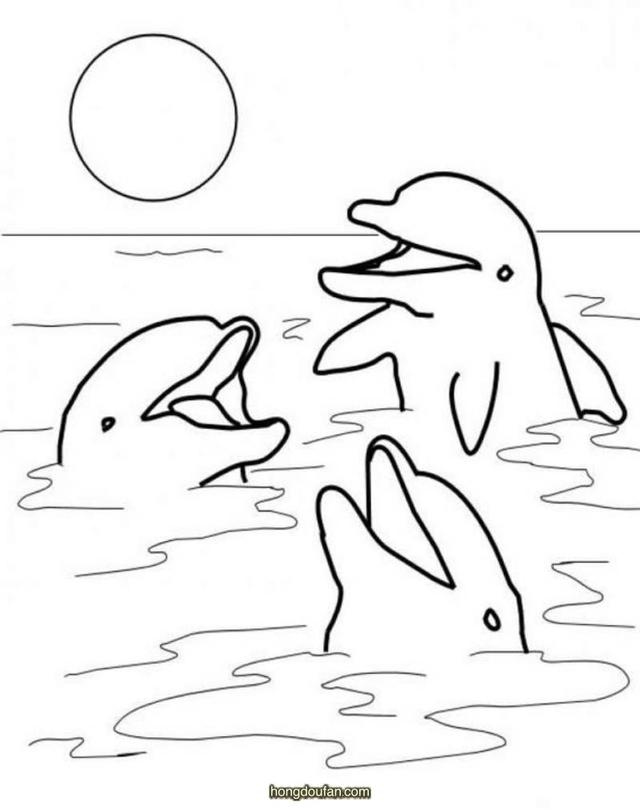 海底世界简笔画海豚图片