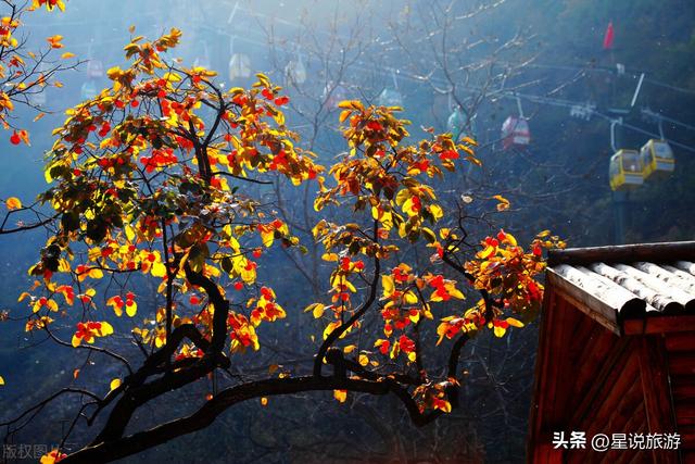 大同5a级景区有哪些地方，山西的十家5A级景区
