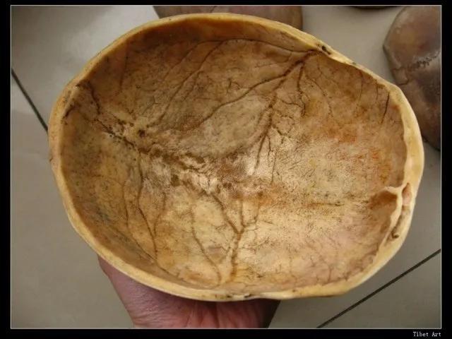 嘎巴拉是什么骨头,嘎巴拉是什么(西藏人骨制品嘎巴拉)