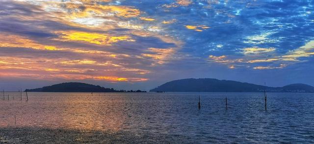 绿茶有哪些品种，红茶有哪些品种（中国的5大名茶是哪些）