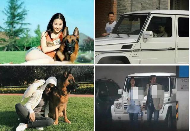 刘亦菲陈金飞被拍豆瓣，陈金飞：和刘亦菲母女都有绯闻