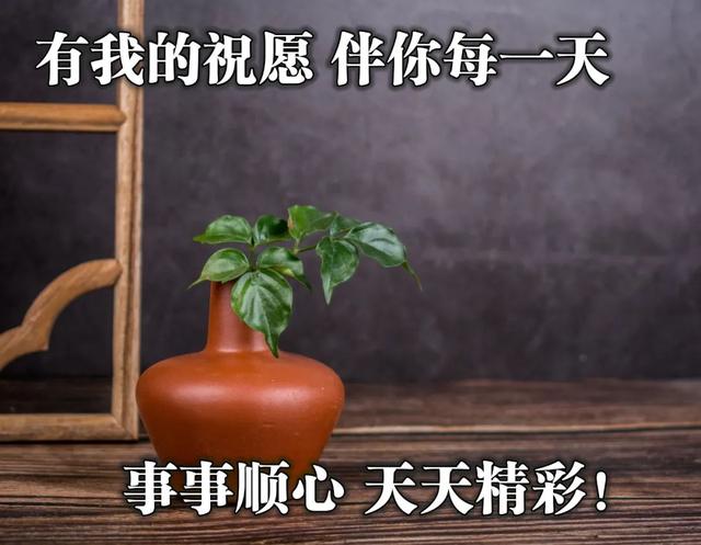 工作辛苦正能量的幽默句子，开心上班幽默正能量的句子（正能量温情语录句子）