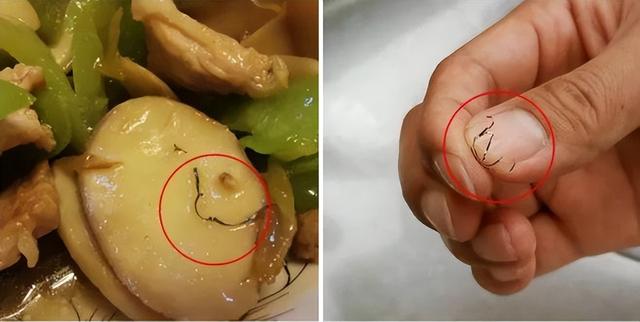 锅烧糊了上面黑的怎么去掉，清除锅底糊焦黑小窍门（不锈钢锅烧焦了）