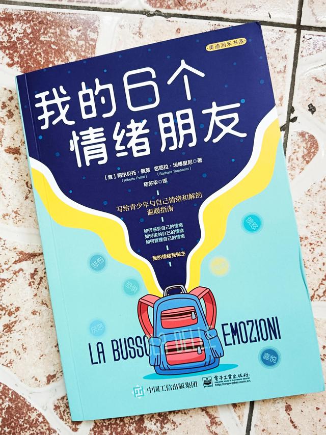 脑发育最关键时期是，孩子大脑发育的关键时期（了解情绪背后的各种因素）