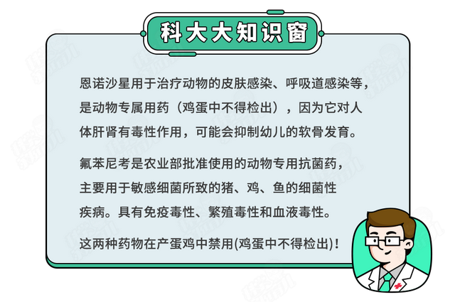 刚孵出来的小鸡怎么养，刚孵化的小鸡怎么养（抽检出抗生素超标）