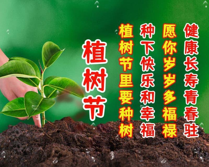 植树节的寄语，植树节的寄语30字（愿你有“树”不尽的快乐）