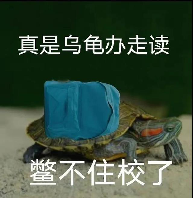 搞笑流氓歇后语，现代沙雕歇后语100个（这种又贱又搞笑的歇后语）