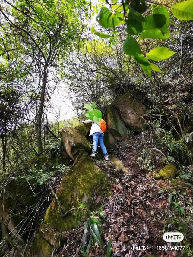 距离成都2小时小众的露营基地，成都近郊9个小众徒步露营耍水地