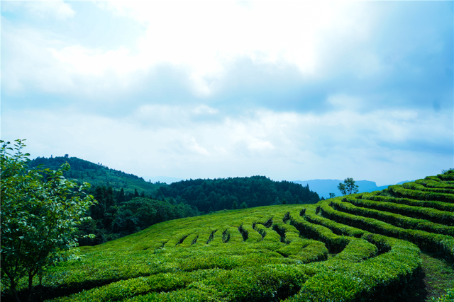 重庆到武隆一日游，武隆攻略一日游（观世界自然遗产——武隆篇）