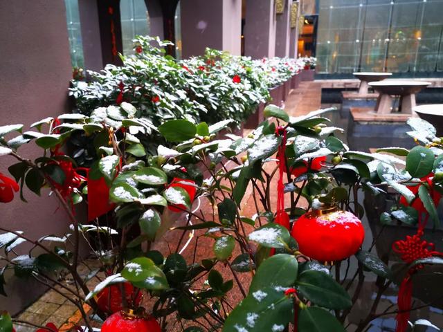 重庆的冬天冷吗一般在多少度，重庆冬天最冷的时候是多少度（秋裤加烤火炉依然瑟瑟发抖）