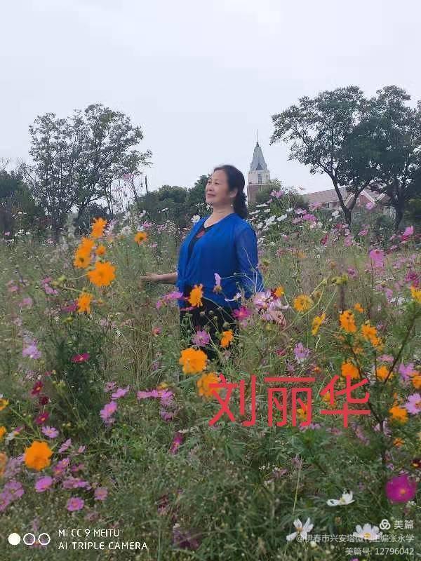 绿色军衣的歌词，绿色军衣歌词（铁十四师战友《辞旧迎新》网上联欢晚会专辑）