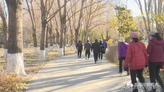 健身工作室名字，高端的健身工作室名字（室外健身房！岱山公园等你来）