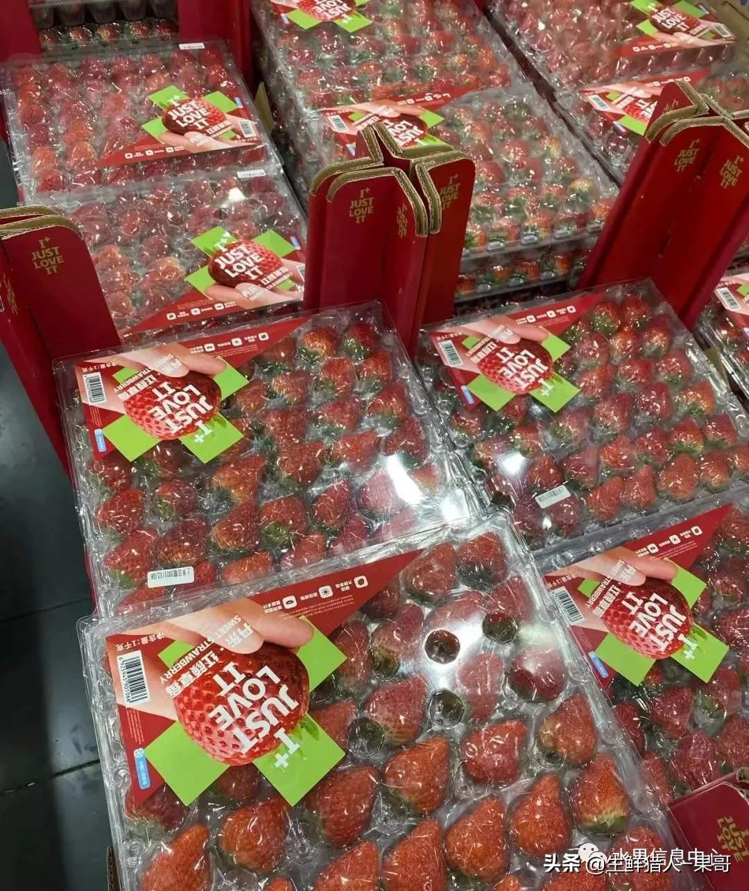 浆果是什么，浆果是什么软件（不同水果的不同包装<浆果篇>）