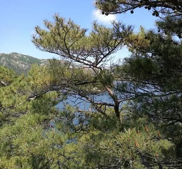 朝鲜总人口有多少人，朝鲜有多少人（神秘的“朝鲜”现状）