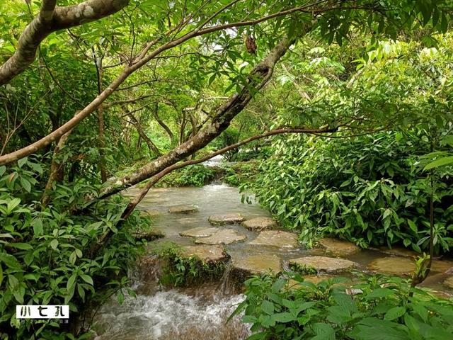 黔东南小七孔旅游攻略，不只是一座古桥<二游荔波>