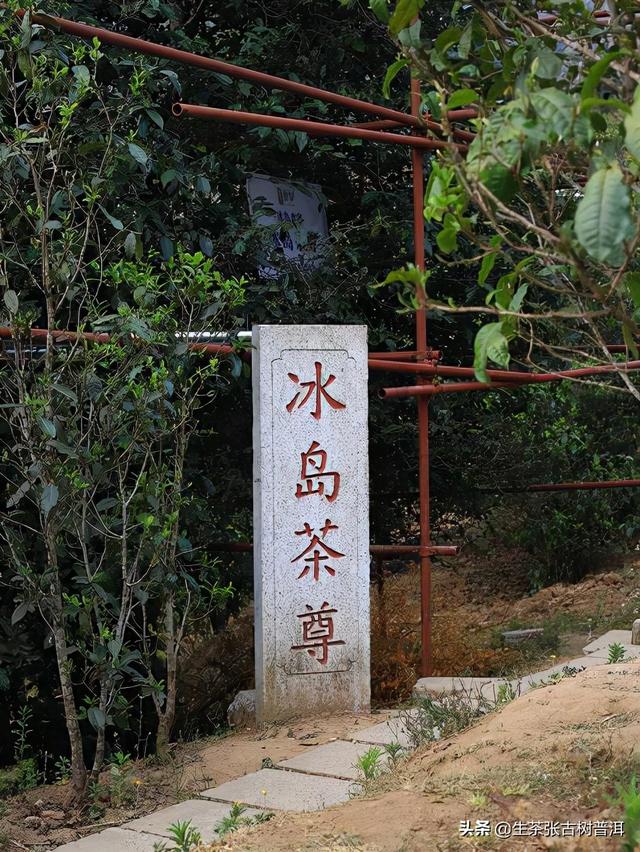 茶叶排行榜前10名，茶叶品牌排行榜前10名（盲入不踩雷的普洱10大名茶）