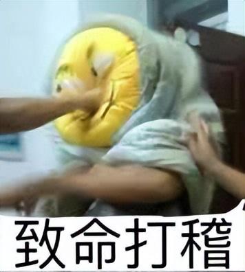 怎样下载看片的视频，手机怎么下片、看片（全国最大的看片工具）