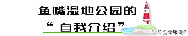南京鱼嘴湿地公园在哪，南京鱼嘴湿地公园在哪个地铁口出（红色旅游精品线路）