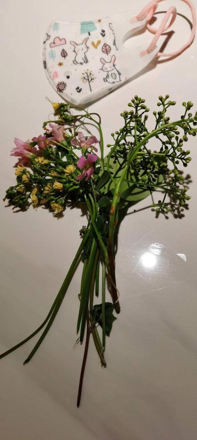 生日送什么礼物好，老人生日送什么礼物好（他都送你啥礼物）